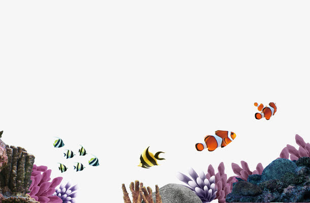 海底世界图片素材免费下载免抠