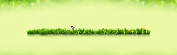 春季绿色背景
