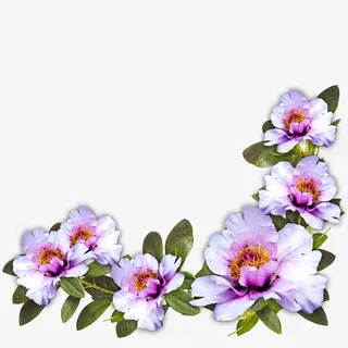 唯美花卉装饰图案免抠