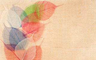 彩色叶子背景素材高清