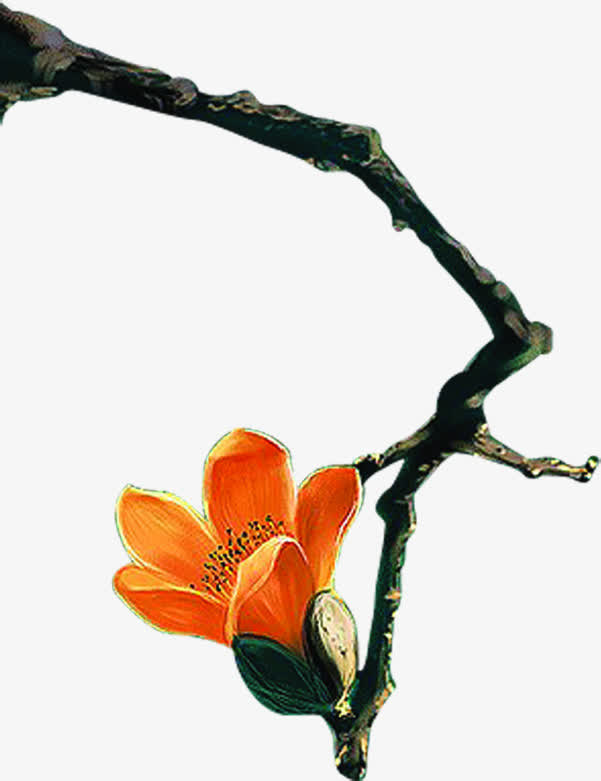 黄色手绘花朵树枝免抠