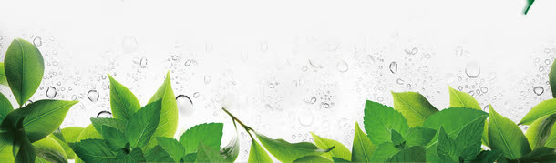 绿草免抠