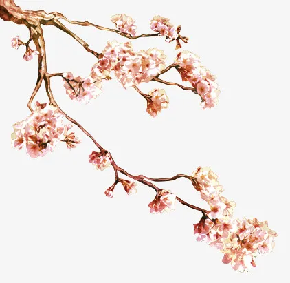 手绘花免抠