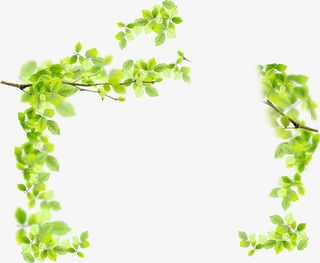绿色树叶美景边框设计清新免抠