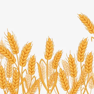 彩绘麦田麦穗矢量图免抠