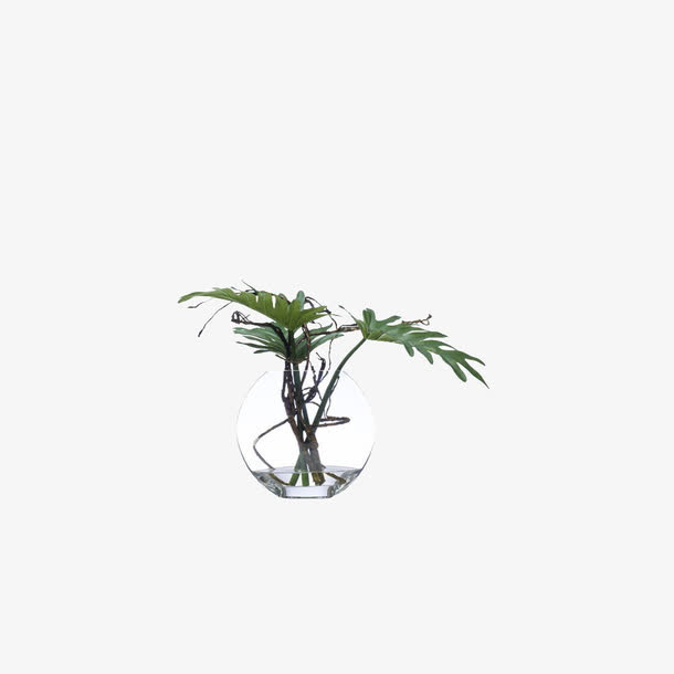 欧美流行插花 绿植物 鲜花软装免抠