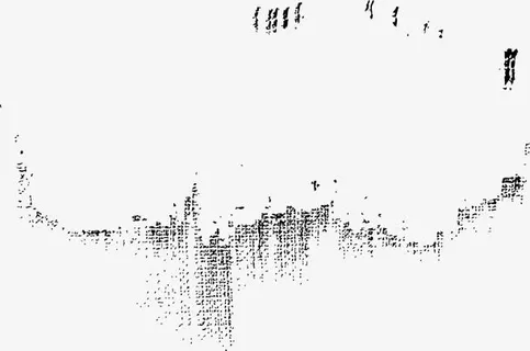 黑色斑斓花纹免抠