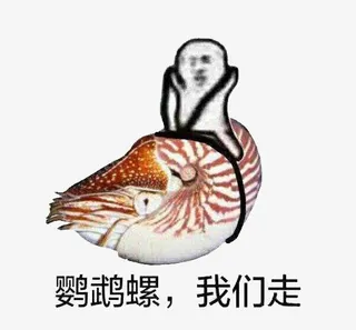 皮皮虾我们走鹦鹉螺免抠