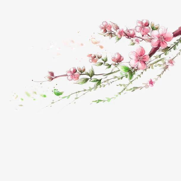 手绘桃花枝免抠