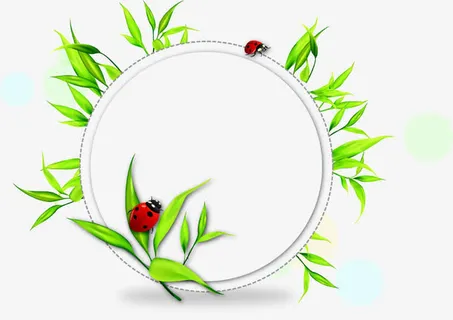 唯美圆形框免抠