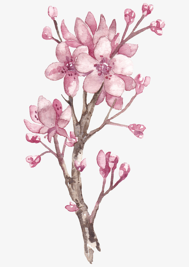粉色盛开的桃花素材免抠