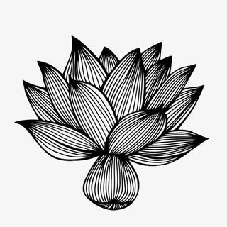 手绘线条莲花免抠