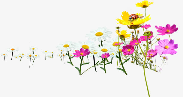 春天公益黄红色花朵免抠