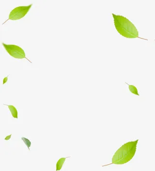 绿色清新时尚春天树叶免抠漂浮叶子元素
