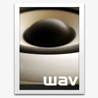 PNG图标设计wav免抠