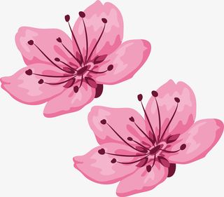 樱花精美图案矢量花瓣免抠