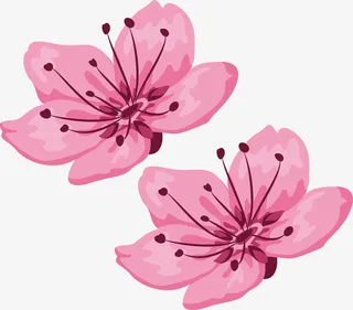 樱花精美图案矢量花瓣免抠