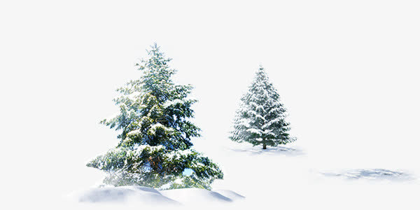 冬季大雪松树免抠