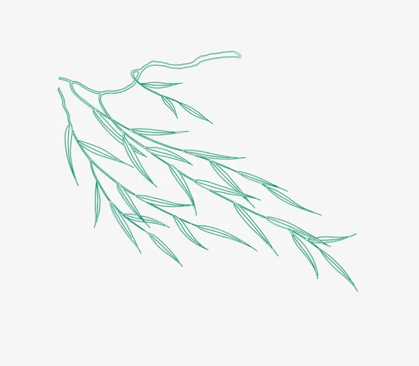 春天飘扬的柳树免抠动植物植物元素