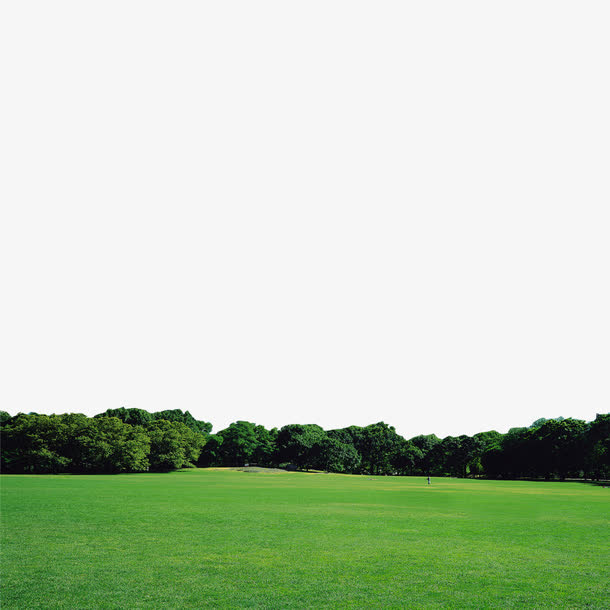 绿色森林风景免抠