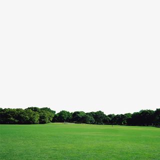 绿色森林风景免抠