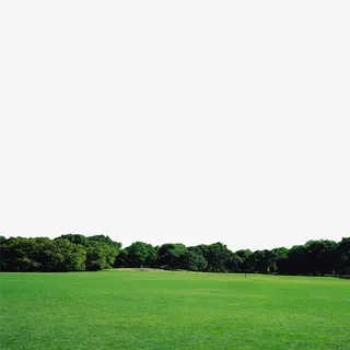 绿色森林风景免抠