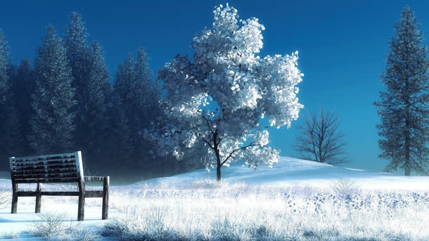 雪地冬季大树凳子海报背景
