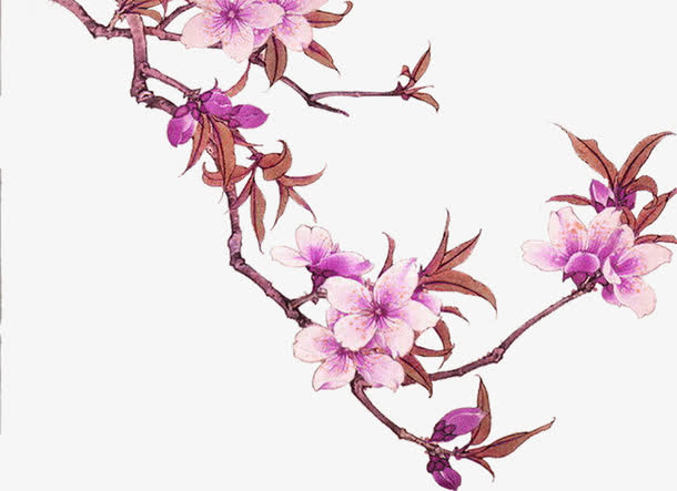 一支梅花免抠