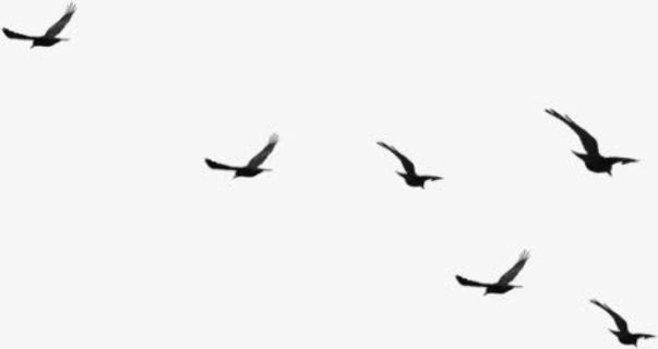 黑色卡通大雁飞翔效果免抠