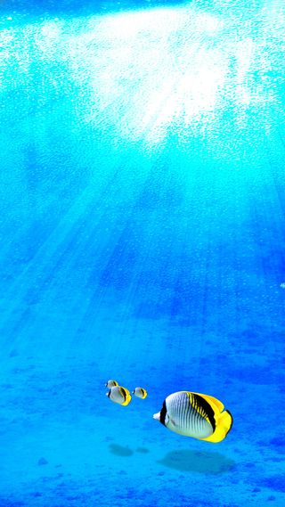 蓝色海洋H5背景高清