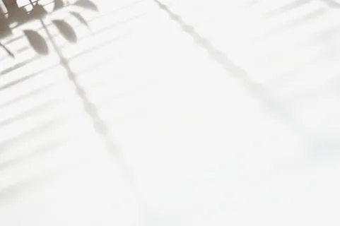 树枝太阳光光效免抠其他元素