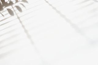 树枝太阳光光效免抠其他元素