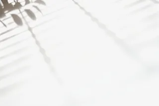 树枝太阳光光效免抠其他元素