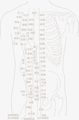 中颖人体脉络图标免抠