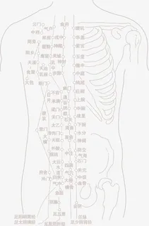 中颖人体脉络图标免抠 中颖人体脉络图标免抠