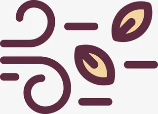 秋天的落叶免抠