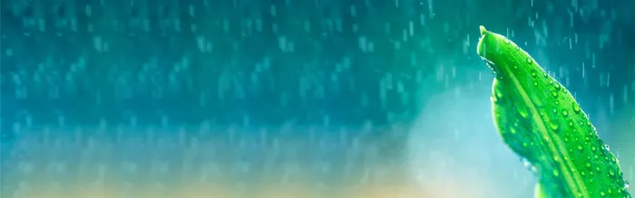 春雨背景高清
