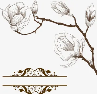 国画白玉兰免抠