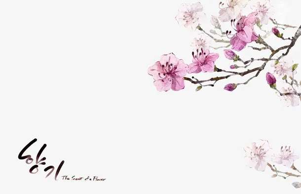 浪漫花卉免抠