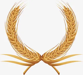 卡通稻谷免抠png装饰免抠