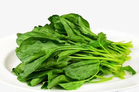 菠菜叶特写,白色盘子免抠 菠菜叶特写,白色盘子免抠