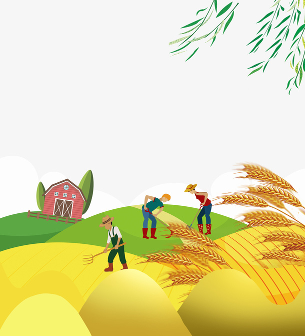 立秋丰收时节收货的季节麦子成熟免抠