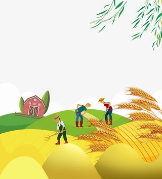 立秋丰收时节收货的季节麦子成熟免抠