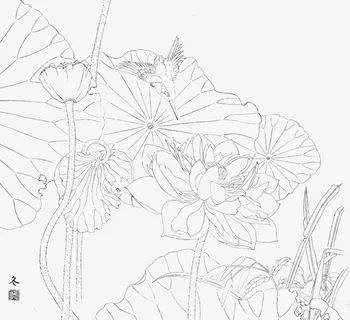 国画荷花线稿免抠
