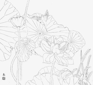 国画荷花线稿免抠