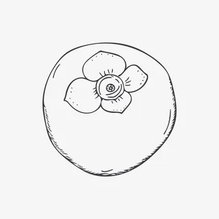 手绘西红柿免抠