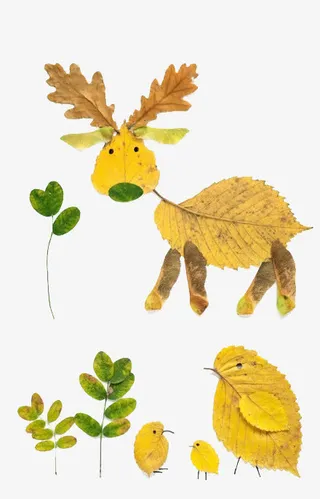 落叶拼贴画免抠