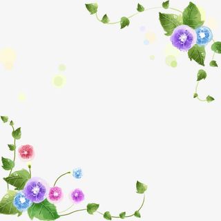 手绘牵牛花素材背景