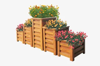 木盆里的花朵免抠