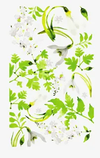 矢量手绘玉兰花免抠